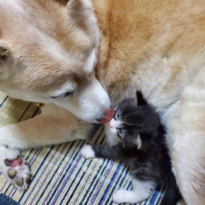 Cb7d6801 7817 4e76 b625 7e794aaf999c 1623831995080