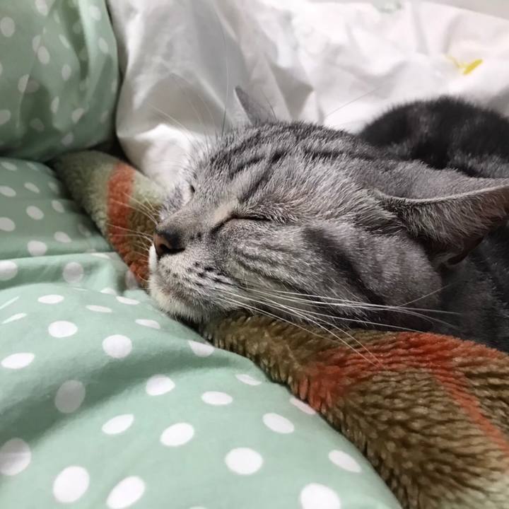 Cb7d8728 108b 4153 9900 a55d4ed4931a 1577762083824