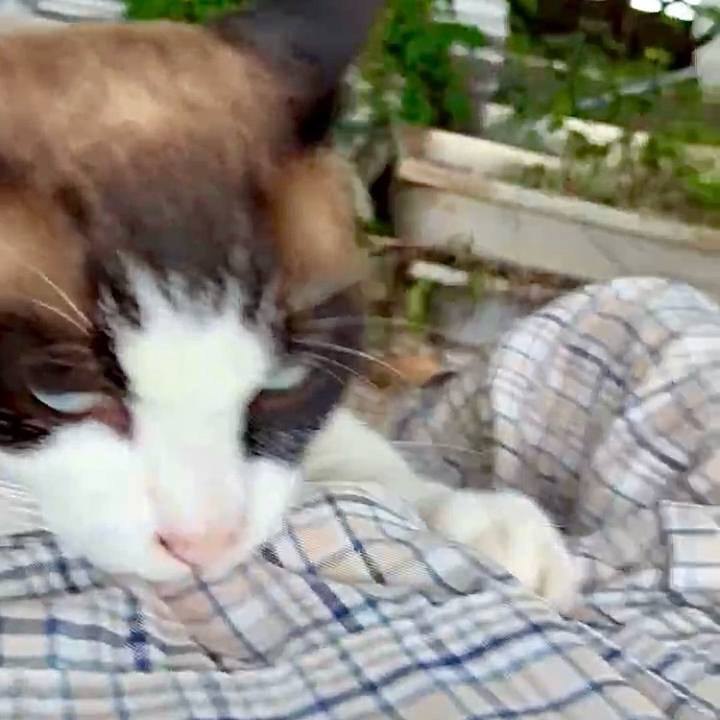 Cb7de486 9b35 473f b37f 20f45f3ae4d1 1749610044769