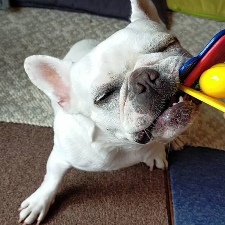 Cb7df897 cc28 4237 ad38 29f667836e0b 1661648300116