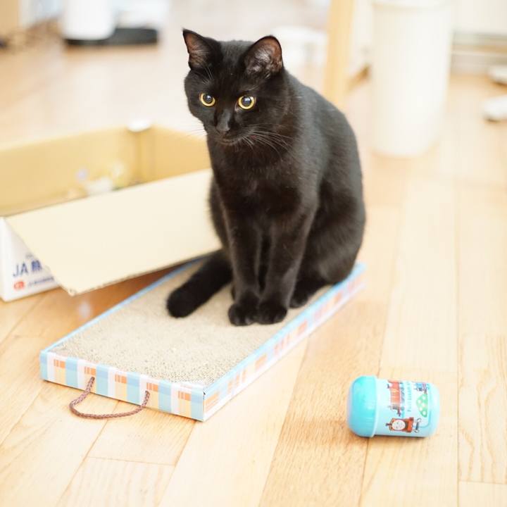 Cb7dfa3d d6c4 4dc0 bd8e fcd1412141ee 1530574121826