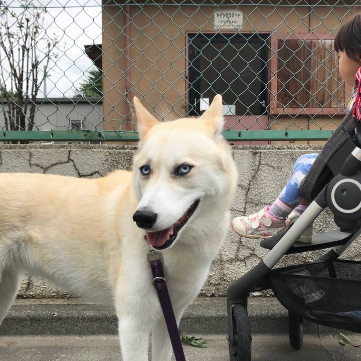 Cb7dfbde 2a29 432c 964b 5c420db7c05d 1529132426454