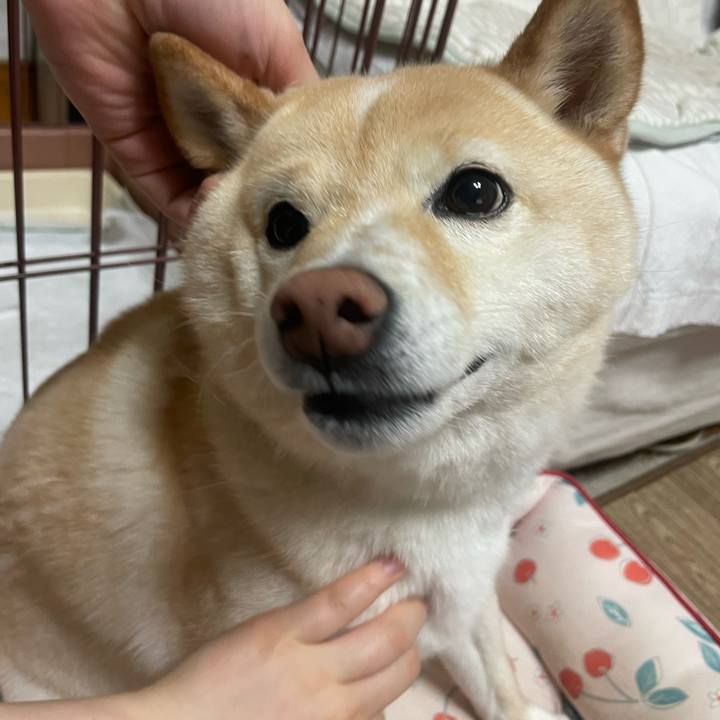 Cb7e2f49 7819 416e 92a5 95b2be224002 1718975513069