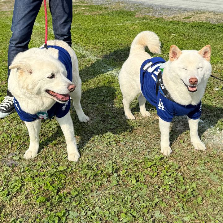 Cb7e317d 6b1e 4513 b9f5 f929bbbef352 1745736306672