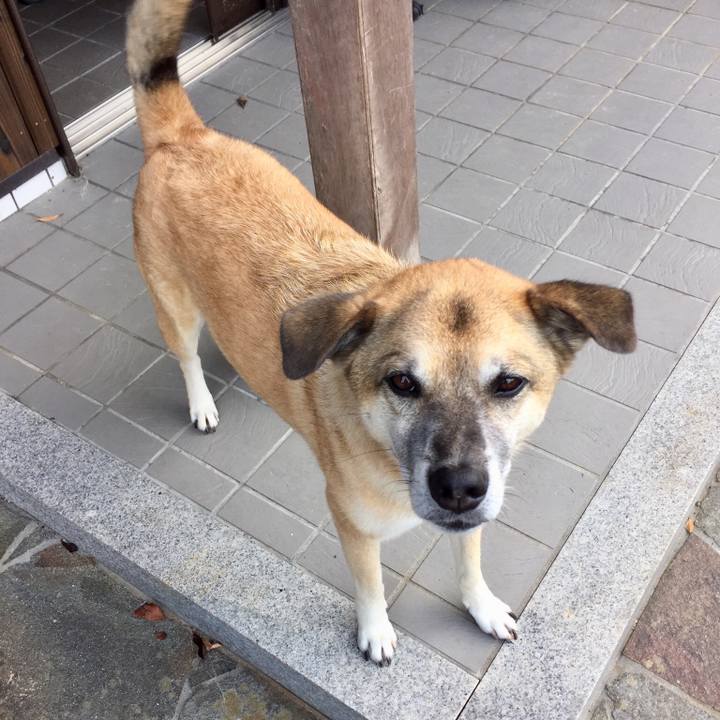 Cb7e5031 c3cc 43b4 9a9b f2764649d5d1 1533374446522