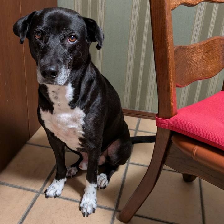 Cb7edebc 2ed4 4bfc b692 d9333e6e50af 1732147663040