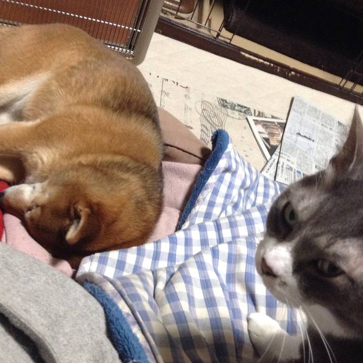 Cb7edfb2 5cc6 491a 9a3b 415c74565f2d 1518097081466