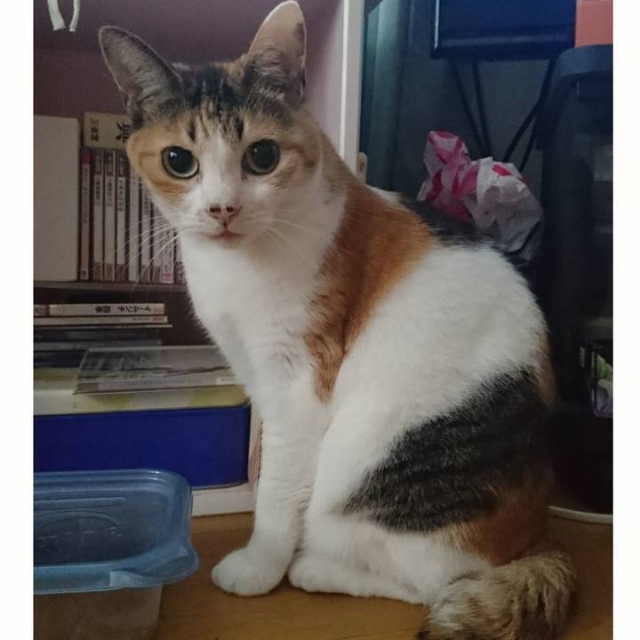 Cb7ef90e bda5 4dc2 939e 4ed90da97245 1566079252232