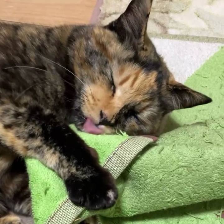 Cb7f16d3 0dd7 4cf5 9392 7bd6579b62f6 1735810633447