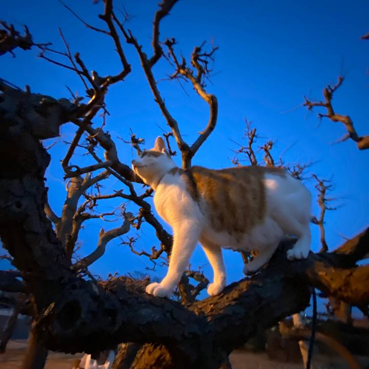 Cb7f20b5 fc5c 4f06 b609 b69c488cc6e2 1583573610994