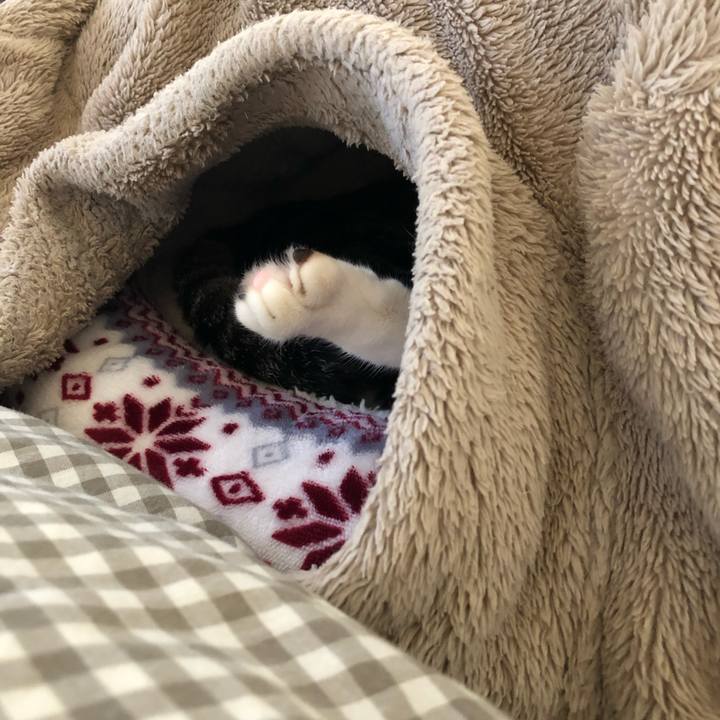 Cb7f72a0 d5ba 43db 8165 337dce480d49 1548119790595