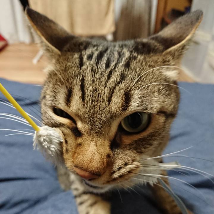 Cb7fc889 2b81 4ea6 ade1 adece5b58aa9 1551714844312