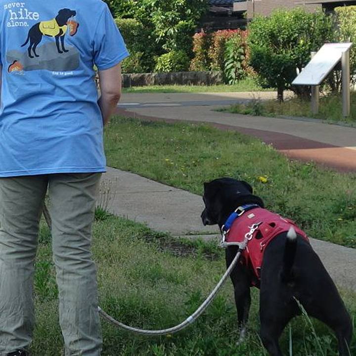 Cb7fd72a c0fd 4018 a96b 5bfceda6f8ce 1684375046624