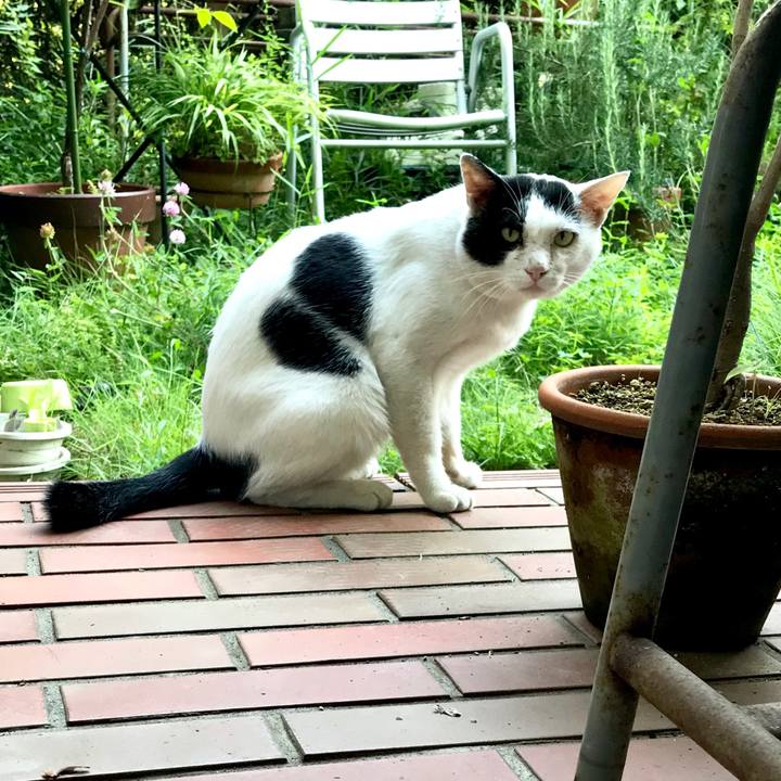 Cb7ff29a bbcc 4a7c bb1b 69280e25df2e 1564975125169