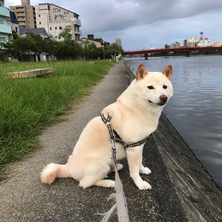 Cb8010ec c9df 4933 ba17 3d7fe694ef05 1634471278789