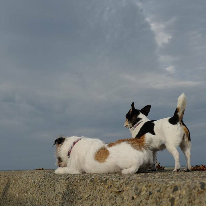 Cb801af3 f514 4bfb b822 87d62cf312f4 1509167669099