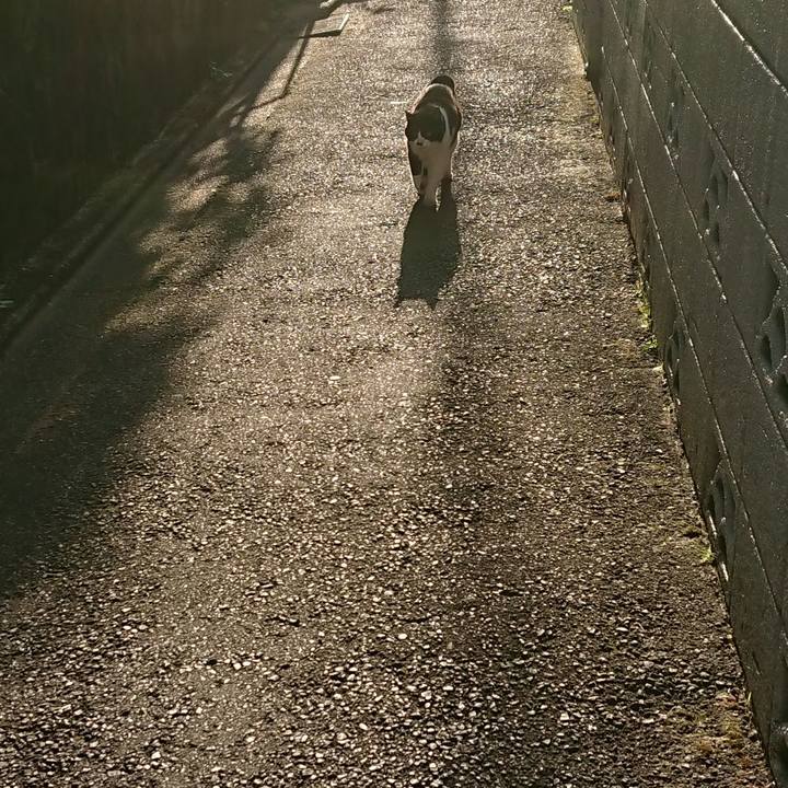 Cb801b10 b92e 4274 8ad8 bab3a9fb49b0 1683363345747