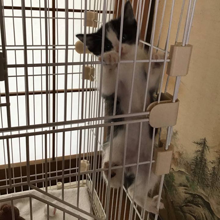 Cb804526 079b 49a0 8c36 a7c78898813c 1622679762901