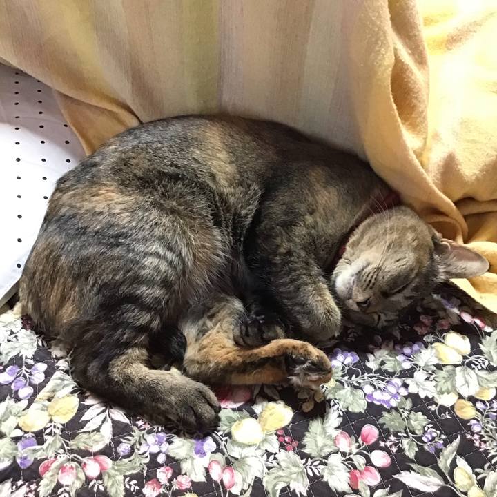 Cb80501c 1fcf 4b35 9e7f bdd71f4fe65b 1639988208355