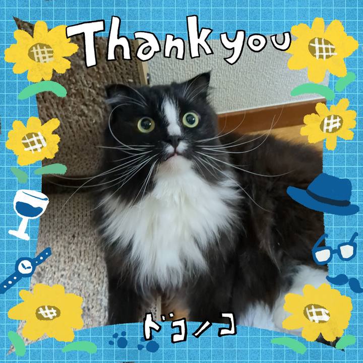 Cb8051de 48cd 43af ba84 d1e8eb3a9802 1717658058315