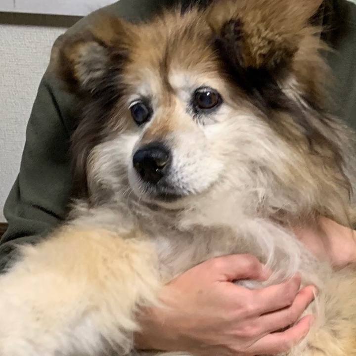 Cb80522c aff2 4d54 8836 9bd5f861909d 1578796459047