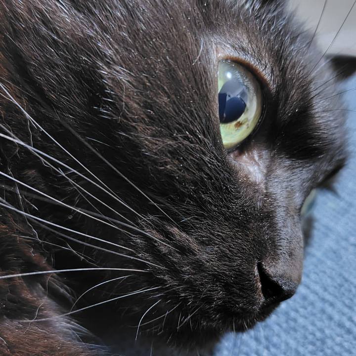 Cb806630 0426 4c23 8563 db1991b1c02e 1747567821557