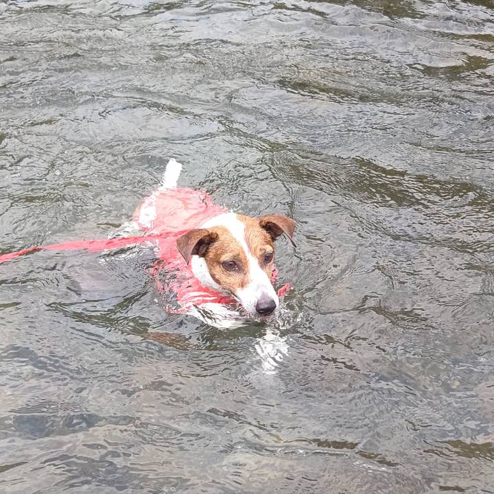 Cb80e957 6ad4 4622 8f5c 0ecdb85e1e58 1689586686301