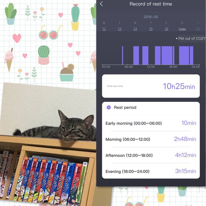 Cb80f91e be00 425e 9a4e 1ce03f42d854 1566053215545