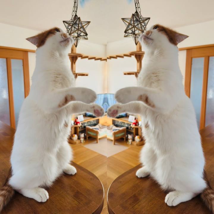 Cb8111c5 8d21 43fe b94d fd8dfc94f07e 1763190219036