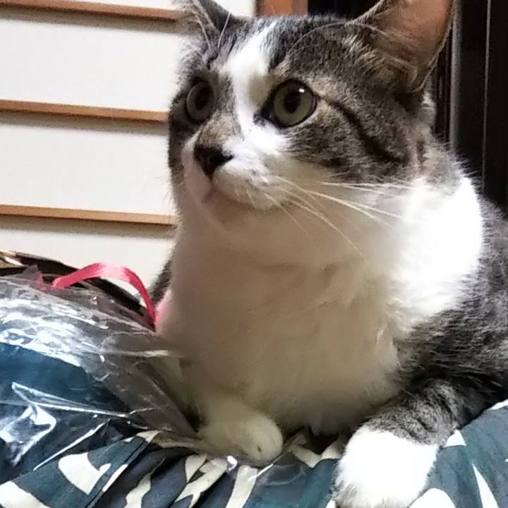 Cb811273 516b 4320 a888 6da8da0591ce 1602252544540