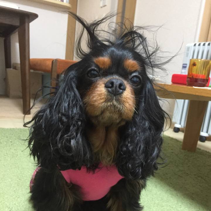 Cb81368e 6670 41c9 82c1 ee6ff4341e92 1517801759043