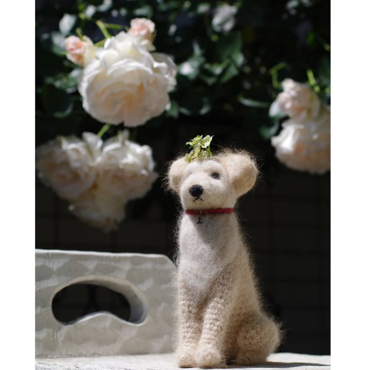 Cb81c8d8 8a39 4624 8644 b8c6ff4d610f 1589498912408