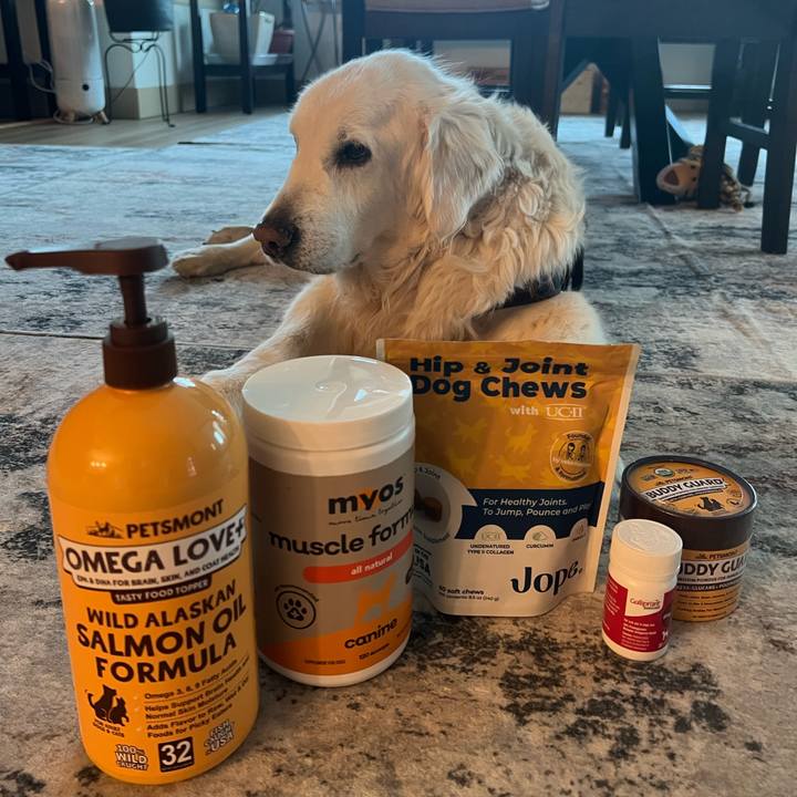 Cb81e6ff cefc 4a62 920f cea04a85a3d2 1769642745003