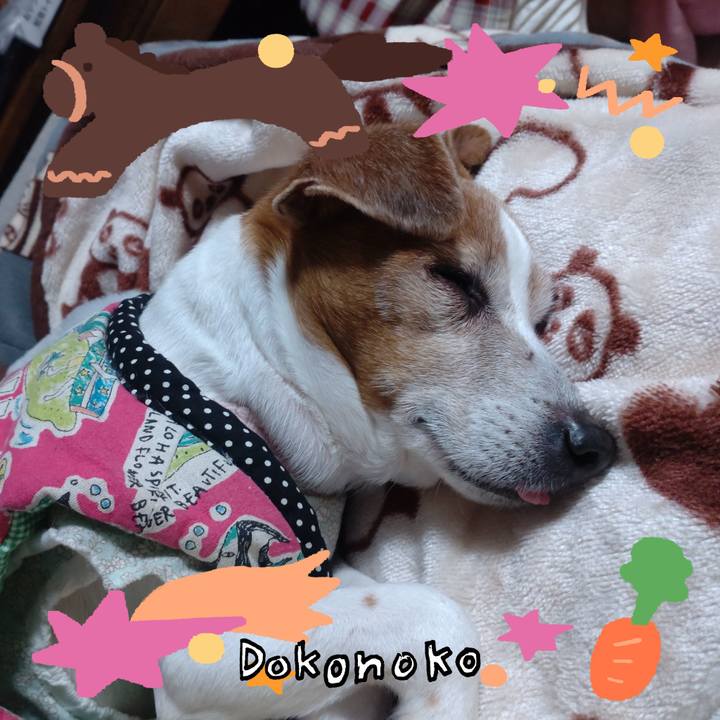 Cb81e719 024d 4478 a1ec 3ec93d4fadcc 1772065323669