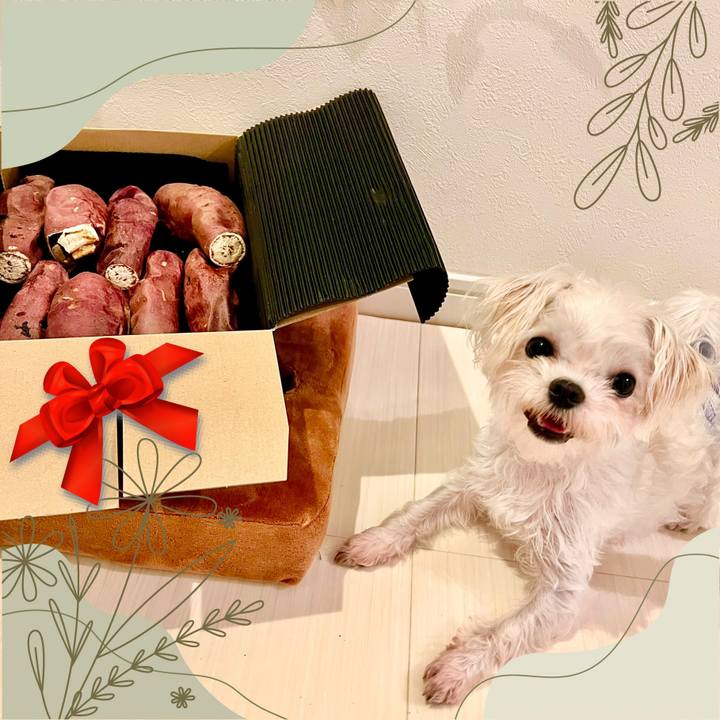 Cb8233d5 93d7 4100 ae9b 98be58593736 1656976308796