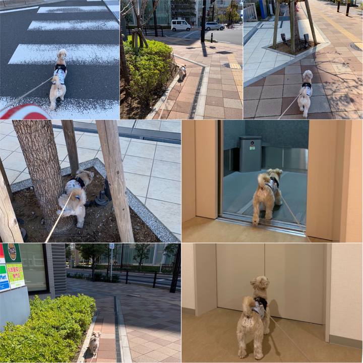 Cb827414 906d 444a 9dac ae99ff41fd91 1554291234677