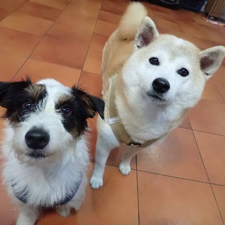 Cb82c627 8ba7 4d47 867c 9e40e63ab88d 1747689984698