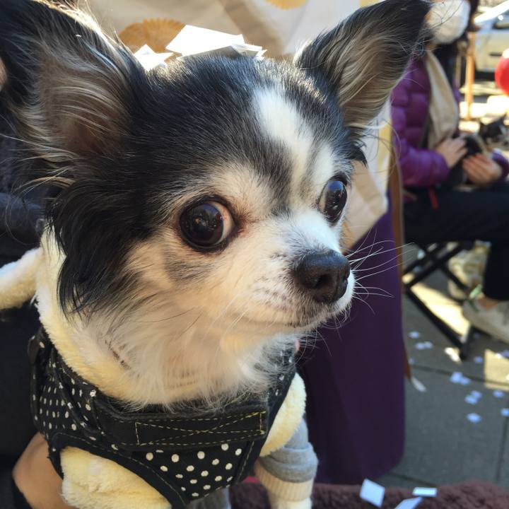 Cb82d793 9d5b 49e8 a14e 5f90f0851d16 1532145268447