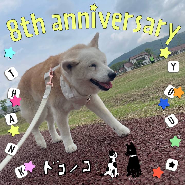 Cb82f79a 786d 411f bd57 59d4d47cde6b 1717627523565