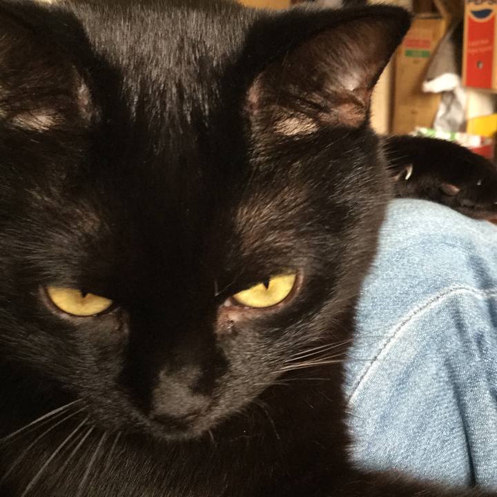 Cb82fe97 31a6 4d2a 85db a892c40bbc04 1601188319742