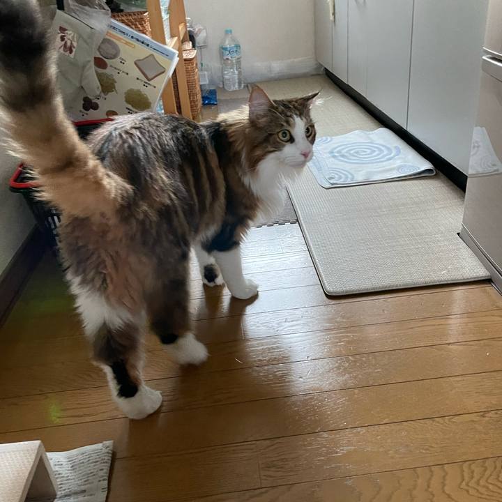 Cb8316ea 4c11 45a3 8202 5438e8ea6b39 1666334699417