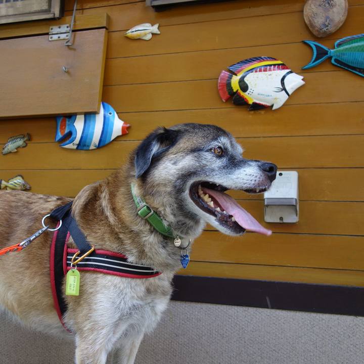 Cb834d4a ddc8 4da0 8c37 6d6a421ec2b0 1643939417806