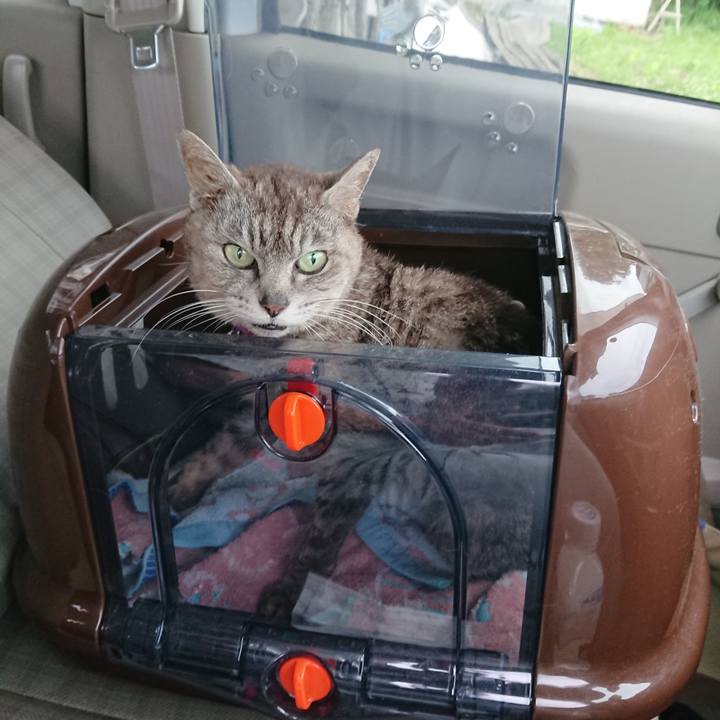 Cb8369b0 0bd7 4a93 9c5a 486d8767591a 1594284337091