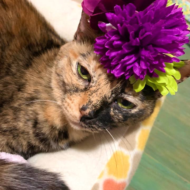 Cb8386a7 d2a1 4952 8b19 9b70e6faabc9 1584811645737