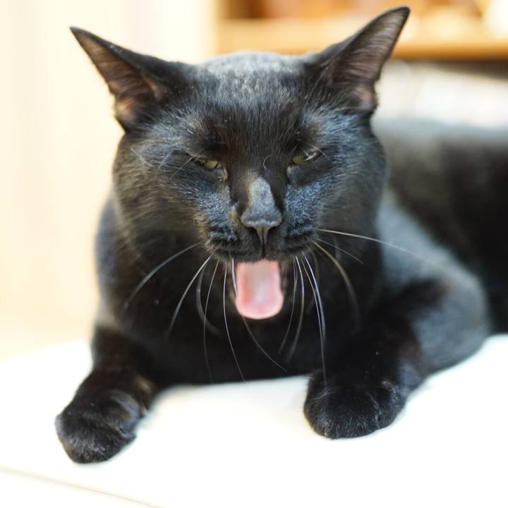 Cb838d5a 5773 4d4d a893 95ecec7c8814 1535932158224