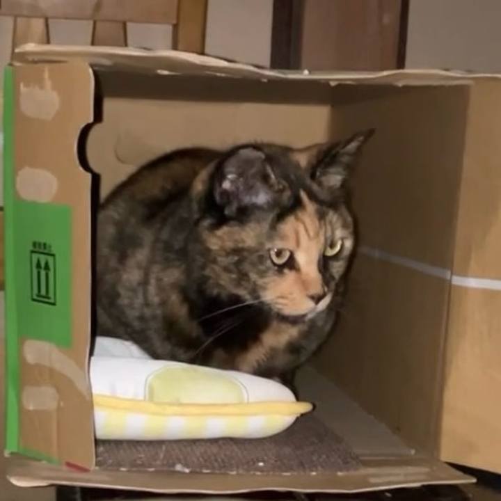 Cb83d5cf 3b82 4be8 bfab ba491aacc194 1733078012097