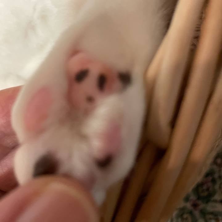 Cb83f90b 6417 437a a9b4 4fa7cb7472fd 1674564326967