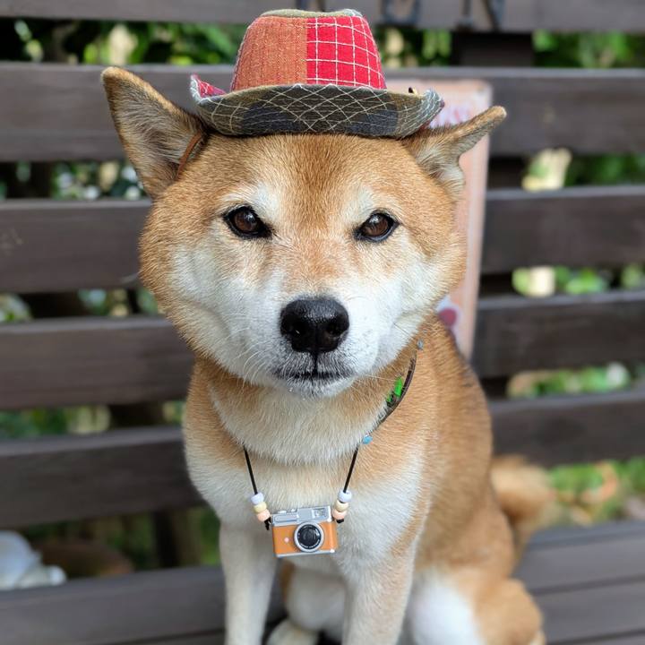 Cb840ab5 4029 4799 8865 6ddd4e095272 1759451632869