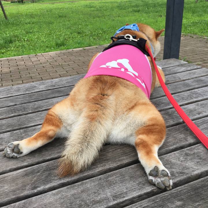 Cb842889 41c1 4daa a118 da59ca08138c 1595821616943