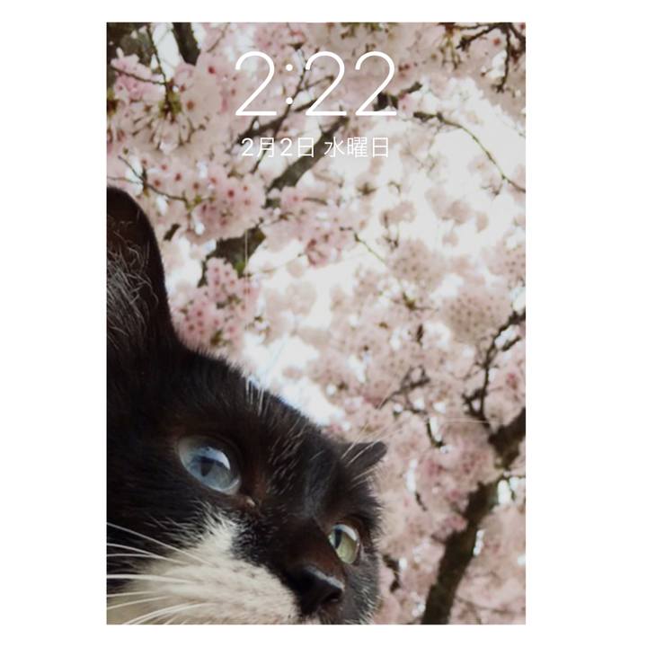 Cb843d69 dba2 45d2 bd43 a10844a17d56 1643738658333